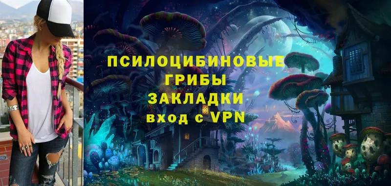 Галлюциногенные грибы Magic Shrooms  Кизляр 